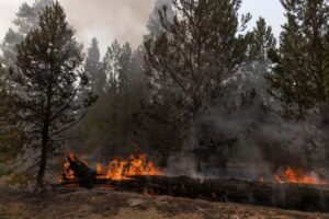 A section of the Bootleg Fire burns near Paisley, Oregon, on July 23, 2021.