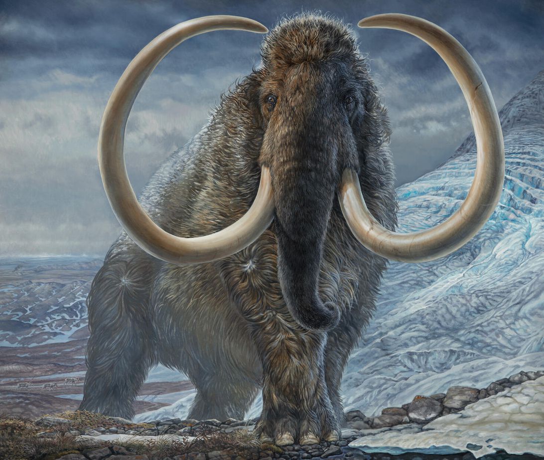 mammoth-painting-havens